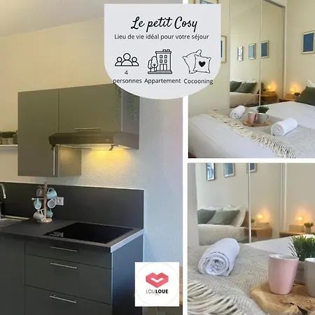 Apartment Le Petit Cosy - T2 En Hypercentre, Parking Prive
