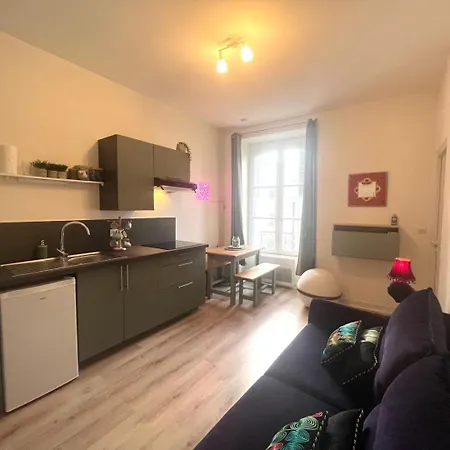 Apartment Le Petit Cosy - T2 En Hypercentre, Parking Prive